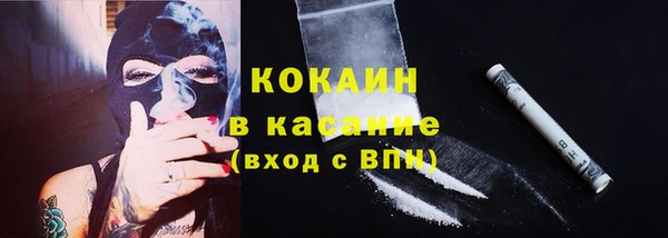 дживик Бронницы