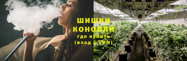 дживик Бронницы