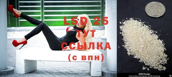 дживик Бронницы